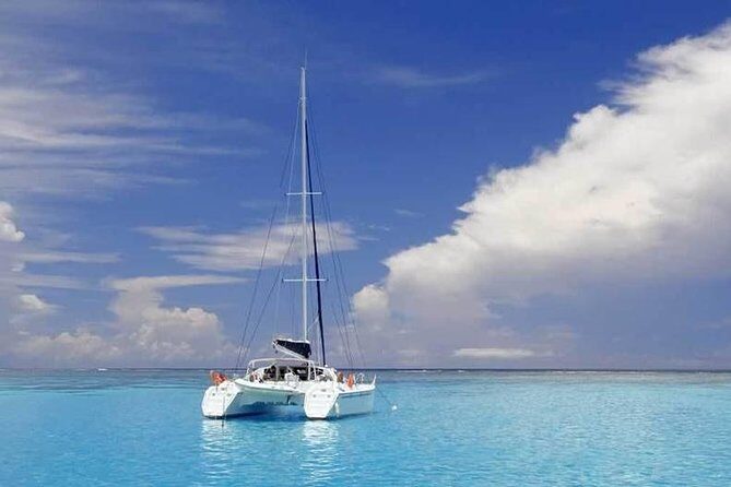 Full-Day Northern Catamaran Cruise: Coin de Mire and Ile Plate Island - Final Thoughts