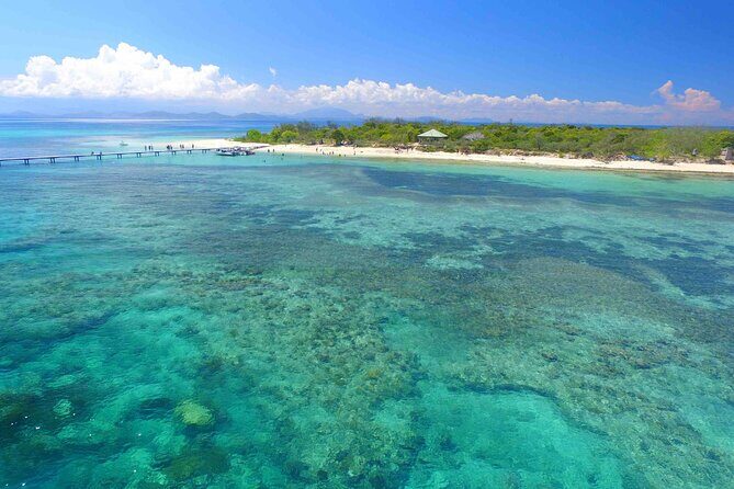 Full Day Nouméa Signal Island Turtle Tour - FAQ