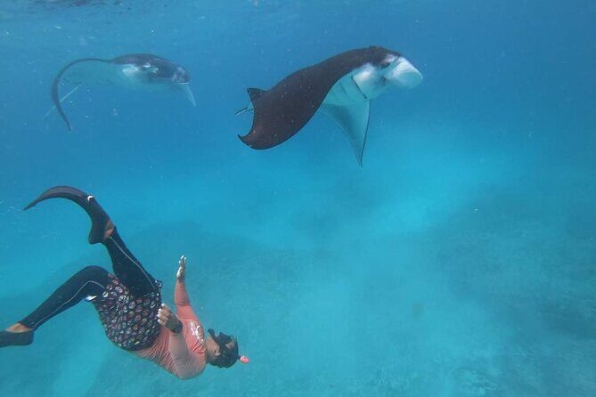 Full Day Nusa Penida Manta Point Snorkeling and West Island Tour - The Sum Up