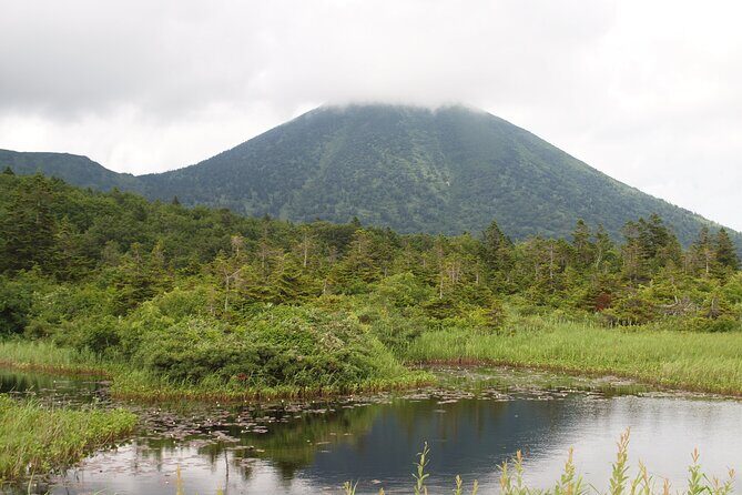 Full day Oirase Stream and Lake Towada Tour - The Experience and What Travelers Say