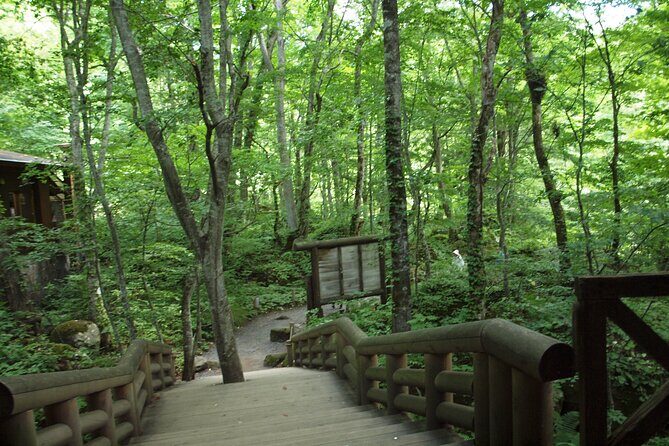 Full day Oirase Stream and Lake Towada Tour - Cost and Value