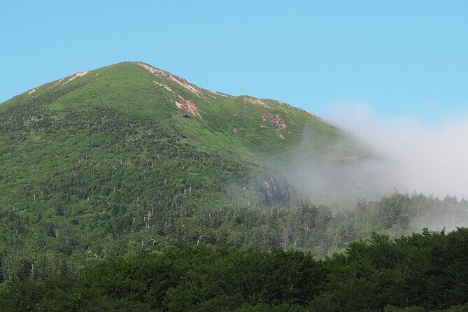 Full day Oirase Stream and Lake Towada Tour - Who Should Consider This Tour?