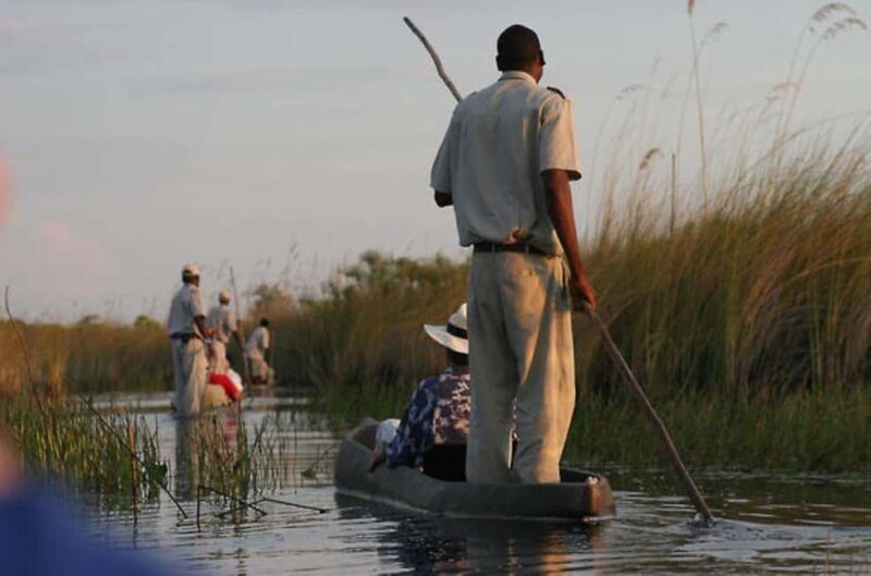 Full Day Okavango Mokoro Tour - Guided Nature Walk: More Than Just a Stroll