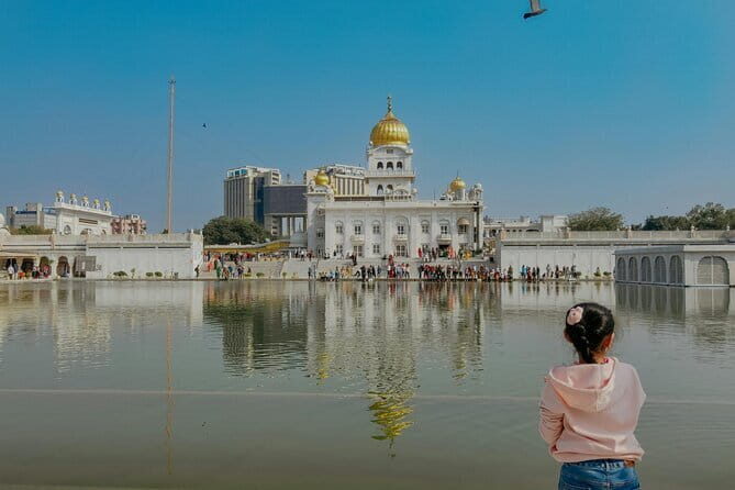 Full day old and new delhi city tour (8 Hours) - Real Traveler Feedback: What People Say