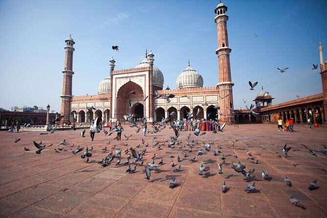 Full Day Old and New Delhi Private Tour with Guide - Practical Details and Considerations