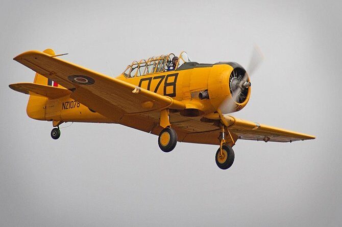 Full-Day Omaka Aviation Heritage Center and Wine Tasting Tour - An In-Depth Look at the Marlborough Day Out