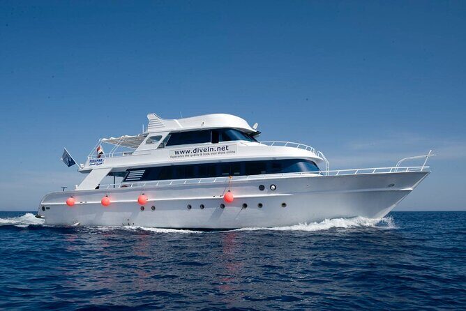 Full Day on Boat with 2 Dives in the Marine Parks of Sharm - The Full Experience: What to Expect on This Marine Adventure