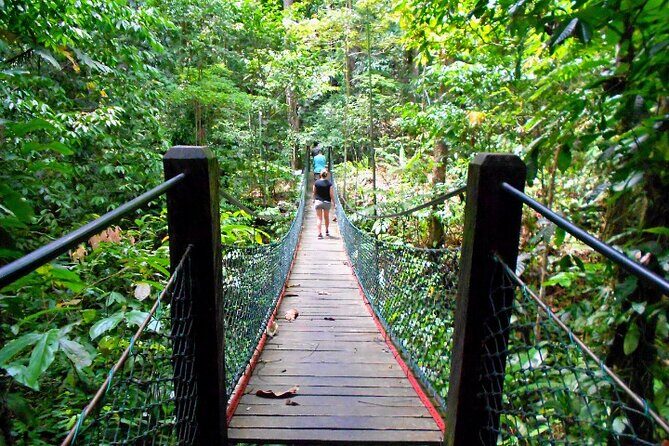 Full Day Orang Utan Sepilok, Proboscis Monkey, Sunbear, RDC - An In-Depth Look at the Tour