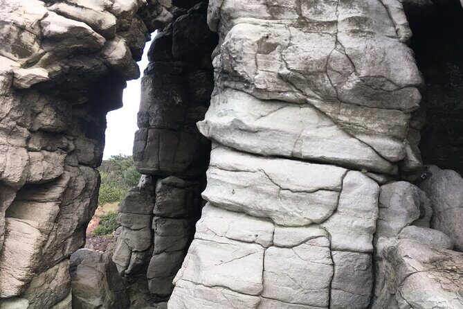 Full day Outdoor Rock Climbing Auckland at Ti Point - An Introduction to the Experience