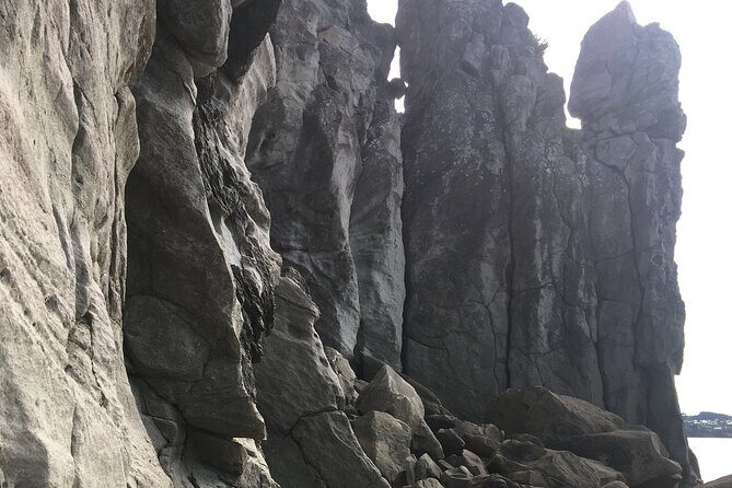 Full day Outdoor Rock Climbing Auckland at Ti Point - The Sum Up