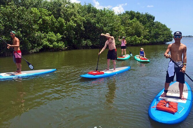 Full-Day Paddle Board Rental in Naples, Florida - An In-Depth Look at This Naples Paddleboard Rental Experience