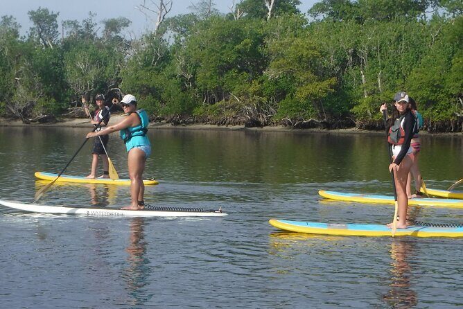 Full-Day Paddle Board Rental in Naples, Florida - Final Thoughts