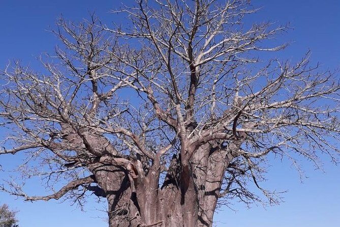 Full Day Panorama Hike and Scenic Tour minimum 2 people - Practical Considerations
