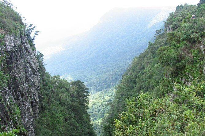 Full-Day Panorama Tour from Hazyview - Authentic Experiences and What Travelers Say
