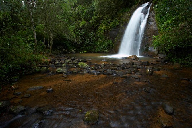 Full-Day Panorama Tour from Hazyview - Who Will Love This Tour?
