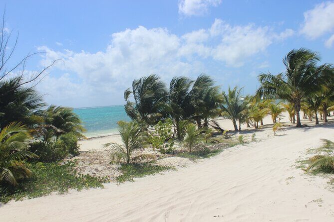 Full day pass in the best Beach Club in the Riviera Maya. Transport included - FAQ