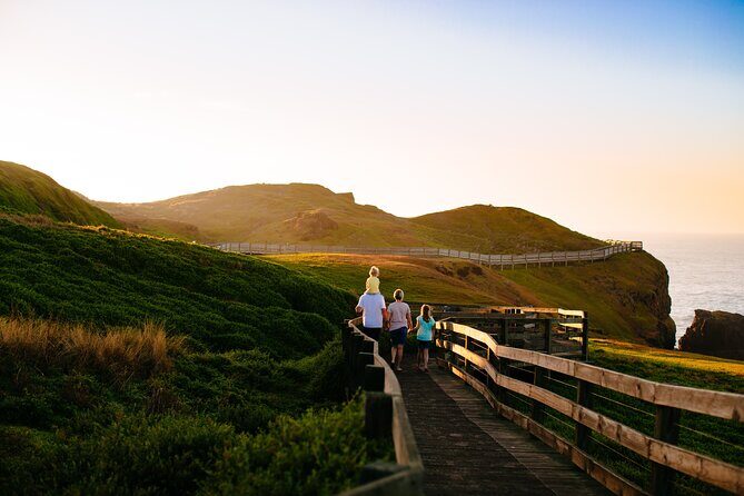 Full-Day Penguins and Wildlife Nature Experience from Melbourne - An Overview of the Experience