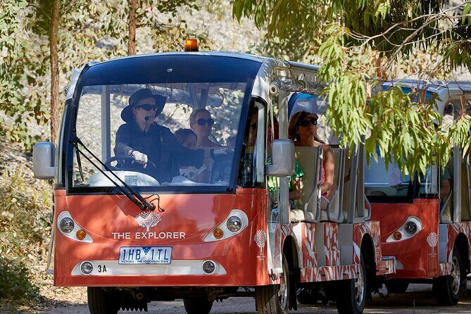 Full-Day Penguins and Wildlife Nature Experience from Melbourne - The Sum Up