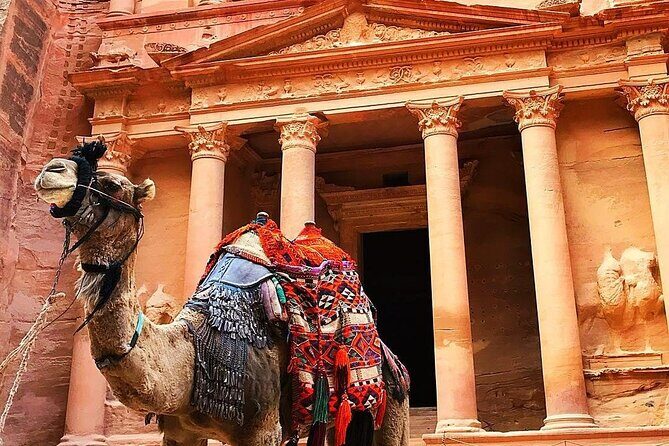 Full Day Petra and Wadi Rum Tour from Amman - What to Expect on the Itinerary