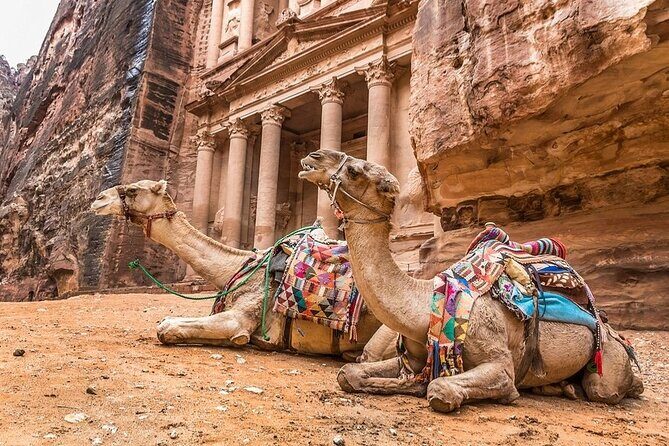 Full Day Petra and Wadi Rum Tour from Amman - The Sum Up
