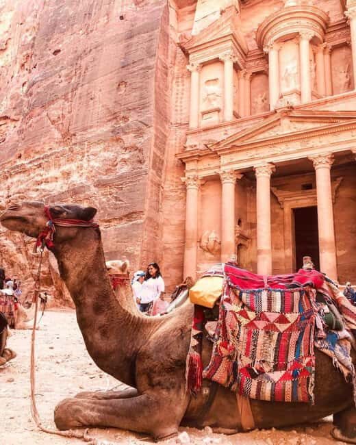 Full Day Petra - Private Day Tour From Amman - Practical Tips for Your Petra Tour