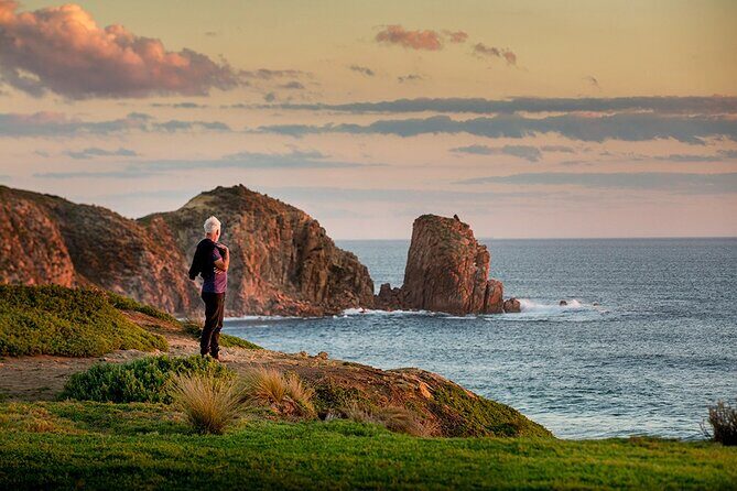 Full-Day Phillip Island Tour with Kangaroo, Koala and Penguin Parade - Who Is This Tour Best For?