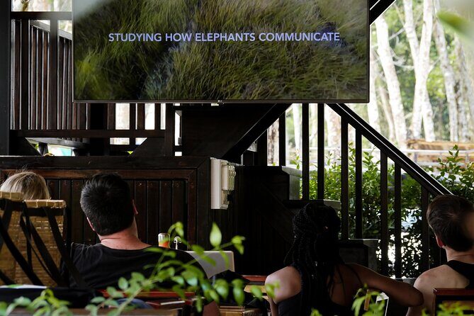 Full-Day Phuket Elephant Sanctuary Tour with Lunch and Dinner - The Logistics