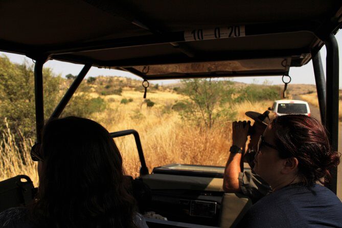 Full Day Pilanesberg Experience in Open Vehicle - Key Points