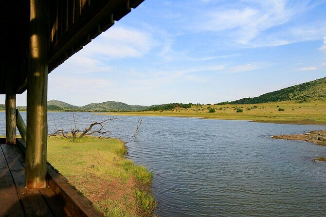 Full Day Pilanesberg Experience in Open Vehicle - An Honest Look at the Itinerary