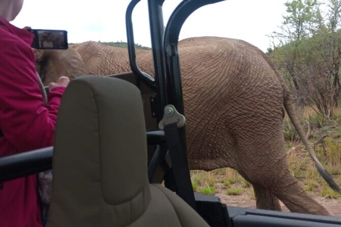 Full Day Pilanesberg Experience in Open Vehicle - Wildlife and Sightings: What to Expect