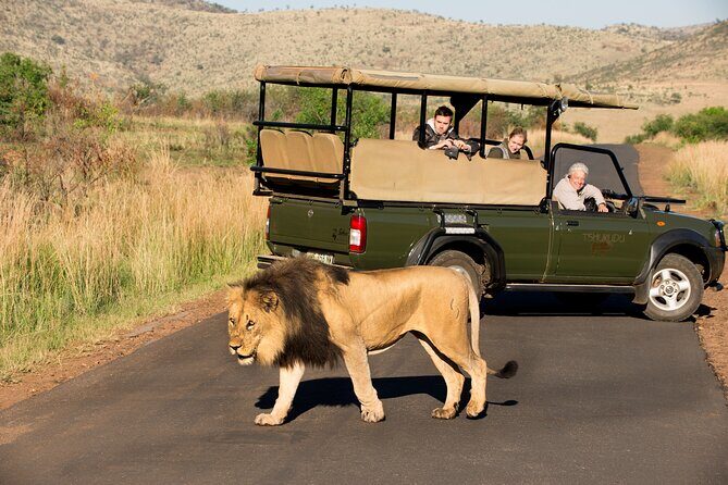 Full Day Pilanesberg Experience in Open Vehicle - The Small Group Advantage