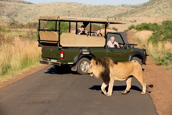 Full Day Pilanesberg Experience in Open Vehicle - The Sum Up
