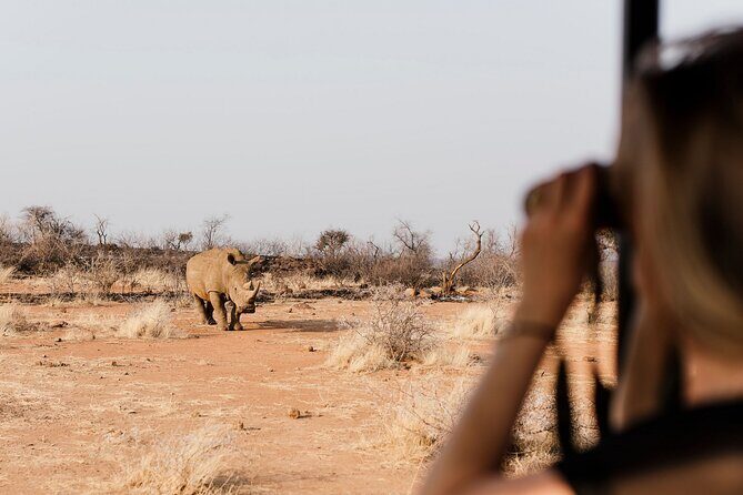 Full Day Pilanesberg Safari Adventure - Discover the Full Day Pilanesberg Safari Adventure