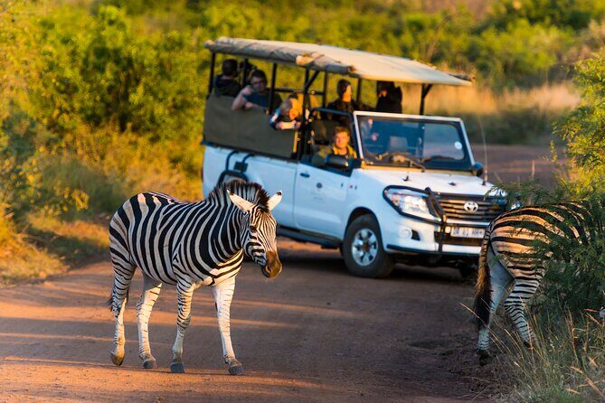 Full Day Pilanesberg Safari Adventure - Navigating the Itinerary: What to Expect from Start to Finish
