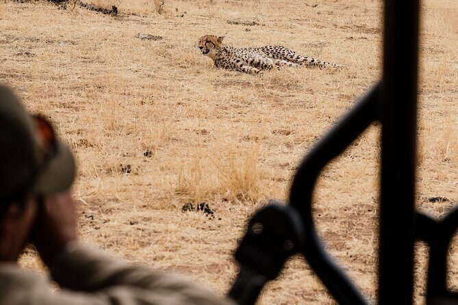 Full Day Pilanesberg Safari Adventure - Who Should Consider This Tour?