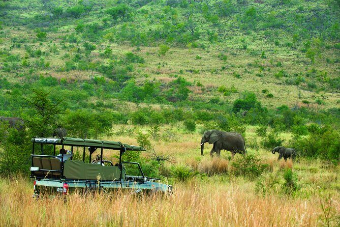 Full Day Pilanesberg Safari Adventure - Final Thoughts