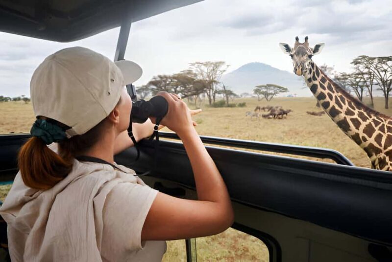 Full-Day Pilanesberg Safari from Sun City - An Overview of the Experience