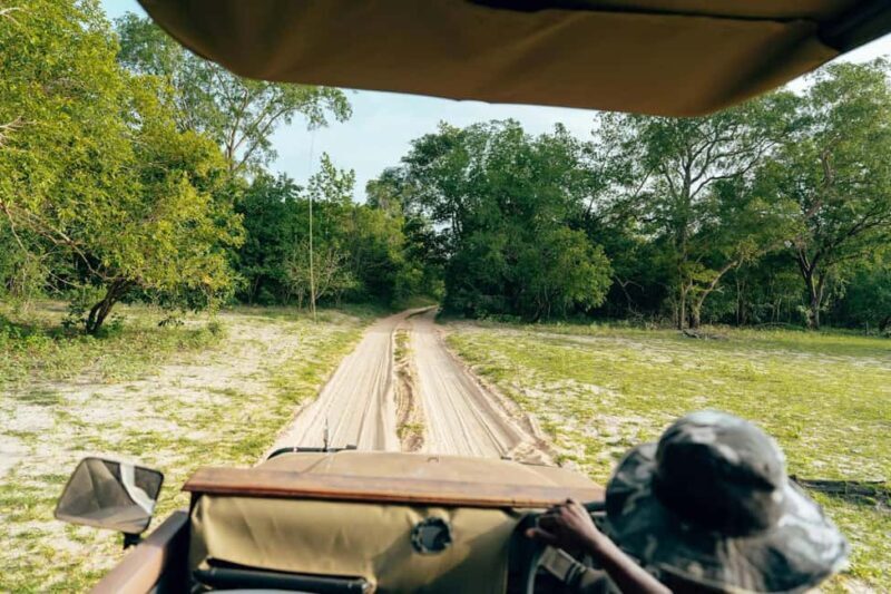 Full-Day Pilanesberg Safari from Sun City - The Practicalities and Value