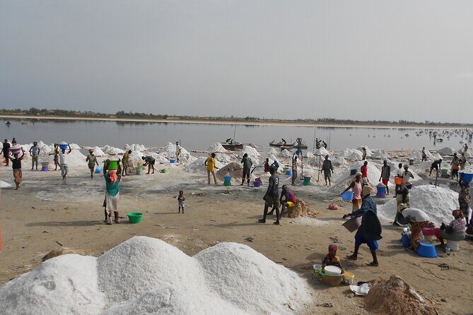 Full-Day PINK LAKE and FISHING VILLAGE combination - Practical Tips for Future Travelers