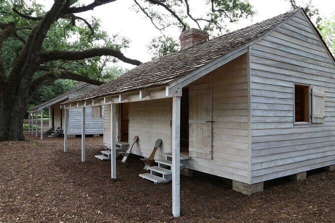 Full Day Plantation -N- Swamp Tour in New Orleans - Key Points