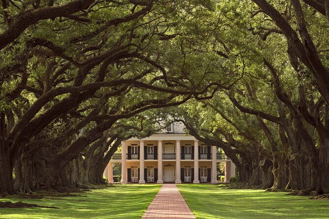 Full Day Plantation -N- Swamp Tour in New Orleans - An Overview of the Tour Experience