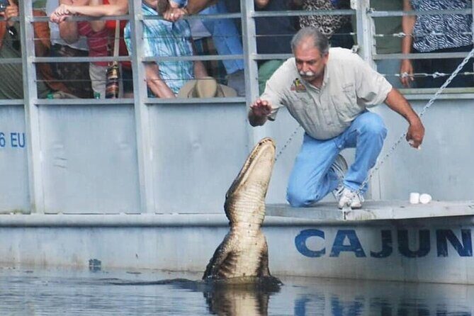 Full Day Plantation -N- Swamp Tour in New Orleans - Authentic Experiences from Reviews