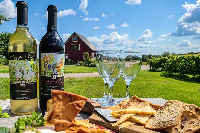 Full Day Pontiac Wine & Cider Tour - Day Trip From Ottawa & Gatineau - Discovering the Pontiac Wine & Cider Tour: A Practical Guide