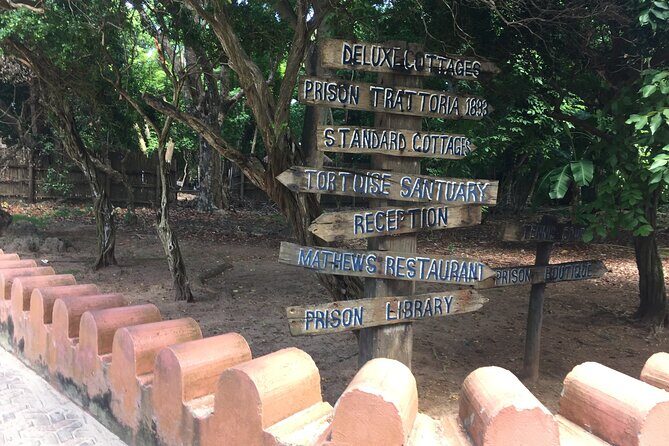 Full-day Prison Island, Nakupenda and Stone Town Tour with Lunch Buffet - What Travelers Say: Authentic Voices
