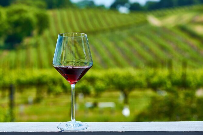 Full-Day Private Amador County Wine Tour from San Francisco - An In-Depth Look at the Tour Experience