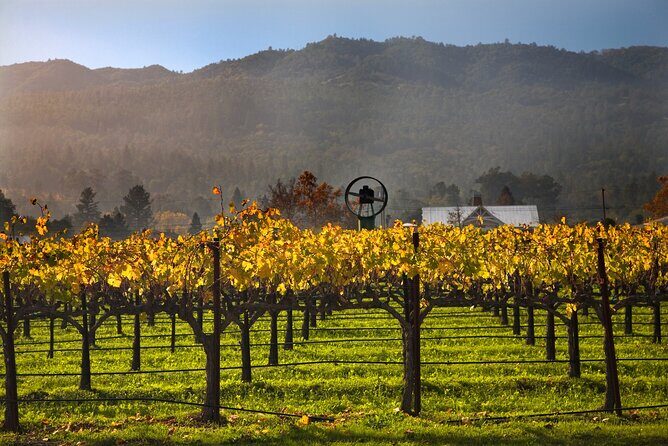 Full-Day Private Amador County Wine Tour from San Francisco - Frequently Asked Questions