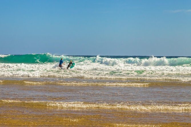 Full-Day Private Australian Wildlife Tour of Phillip Island - Authentic Encounters and Review Insights