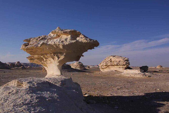 Full Day Private Bahariya Oasis and White Desert Tour from Cairo - The Experience in Detail