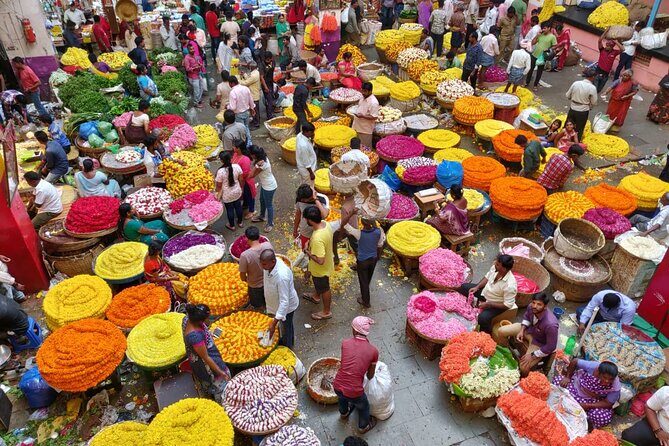 Full-Day Private Bangalore City Tour by Metro Train - An In-Depth Look at the Tour Experience