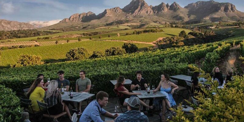 Full-Day Private: Best of the Cape - The Sum Up